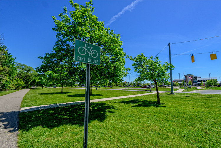 Baordwalk trail near Amtrak station. Photo by Doug Coombe.