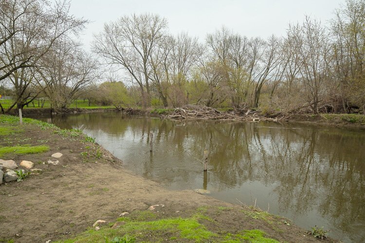 Looking over the Clinton River at Budd Park.