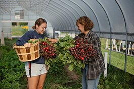 Cold Frame Farm in Romeo uses enclosed beds to extend the growth and harvest season.
