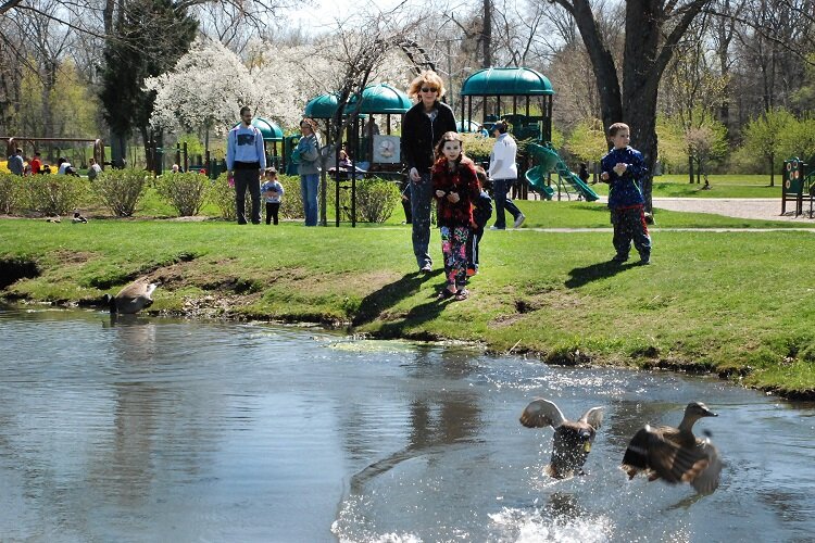 Hanging out by the Water at George George Park in Clinton Township.