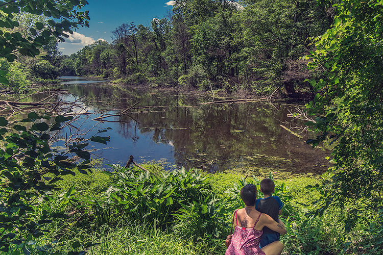 Pond at the EIC. Photo by Doug Coombe.