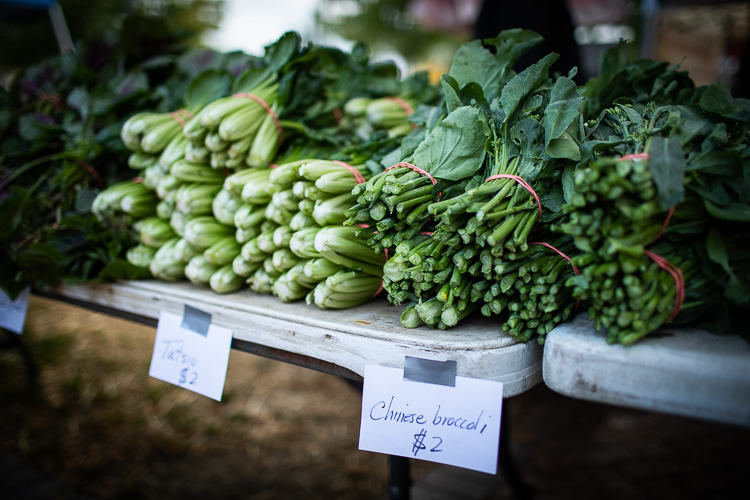 Farmington Farmers & Artisans Market. Photos by David Lewinski.