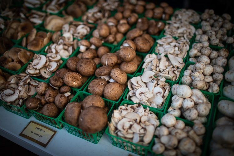 Farmington Farmers & Artisans Market. Photos by David Lewinski.