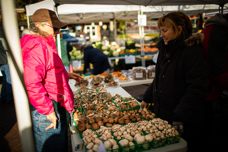 Farmington Farmers & Artisans Market. Photos by David Lewinski.