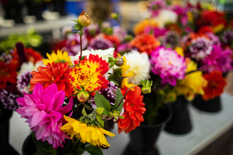 Farmington Farmers & Artisans Market. Photos by David Lewinski.