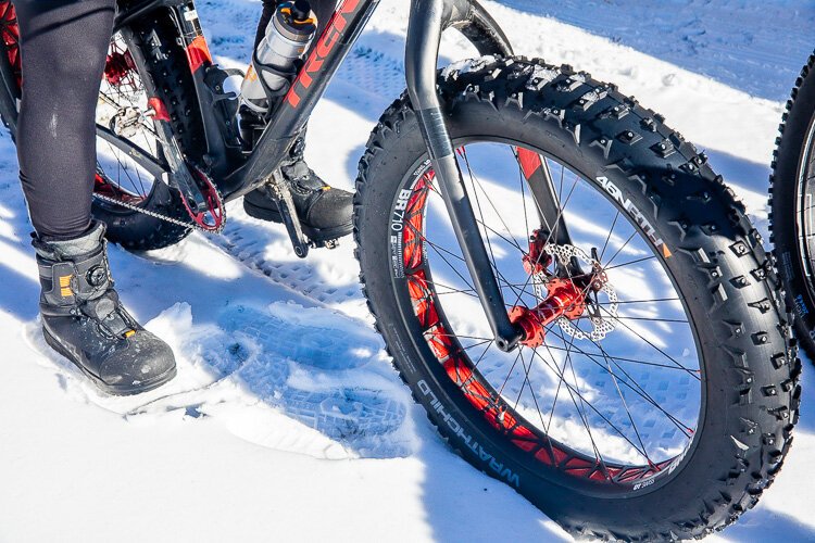 An up-close look at a fat-tire bike.
