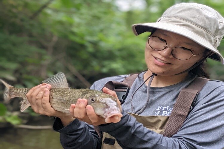 Friends of the Rouge Fish