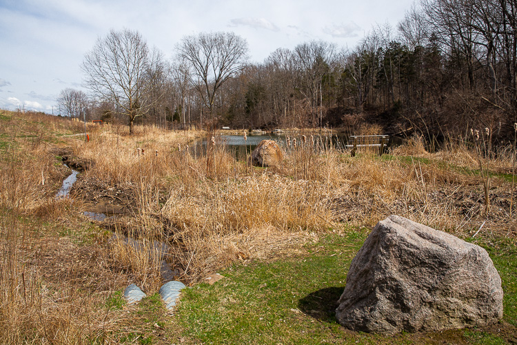 Green infrastructure in Rochester Hills. Photo by David Lewinski. 