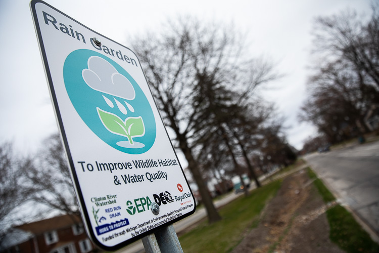 Green infrastructure in Royal Oak. Photo by David Lewinski.