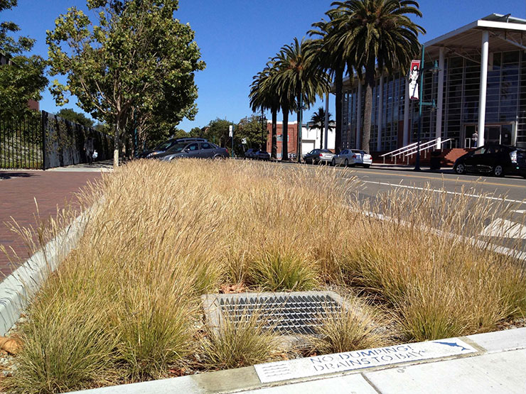 Green Stormwater Infrastructure. Photo via Creative Commons.