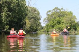 Community members explore Ecorse Creek. Photo by  Quentin Rodriguez