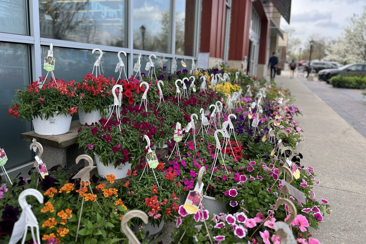 Spring has sprung in downtown Farmington.