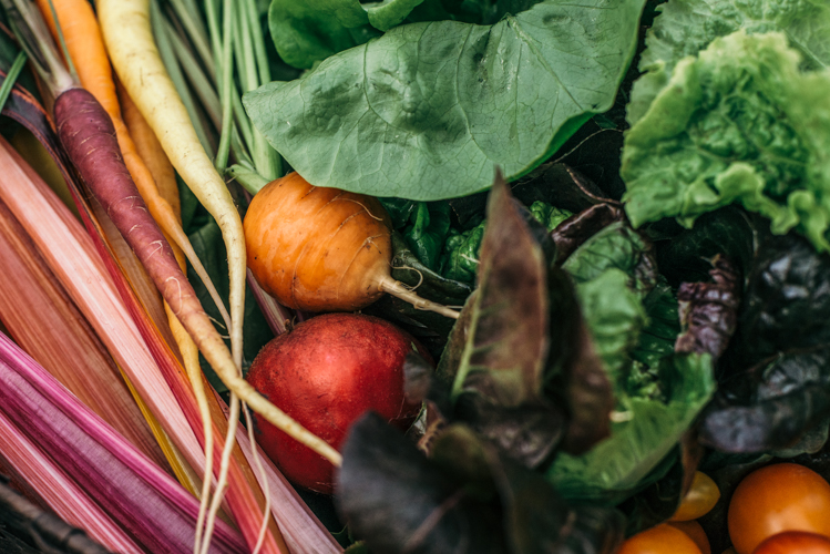 Summer-quality vegetables can be grown locally, year round with hydroponic techniques.