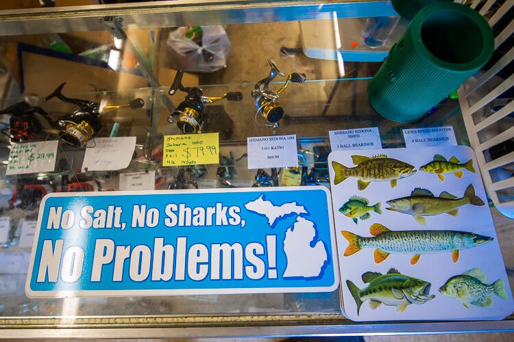 No Salt. No Sharks. No Problems!