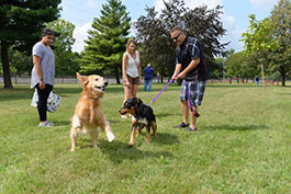 list-Dogpark3-(1).jpg