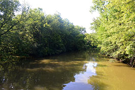 list-RougeRiver2.jpg