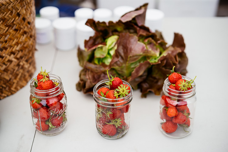 Strawberries from Sunset Farms.