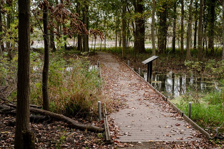 Detroit River International Wildlife Refuge. Photo by Nick Hagen.