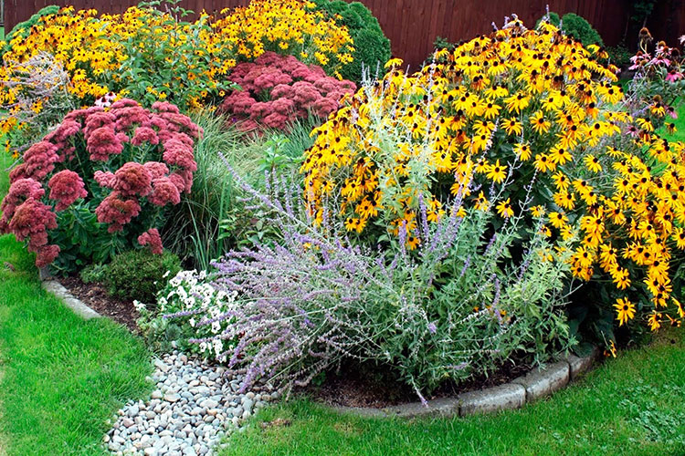 Rain garden.Photo courtesy City of Dearborn.