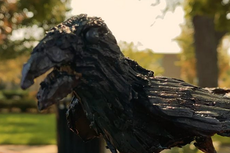 Grand-raven-2