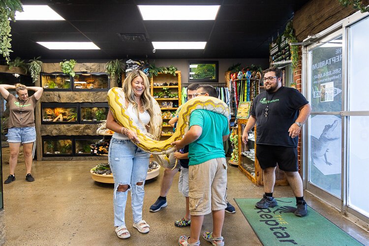 A big yellow snake hangs out at the Reptarium.