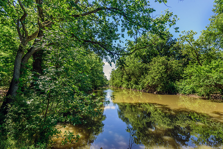 Rouge River. Photo by Doug Coombe.