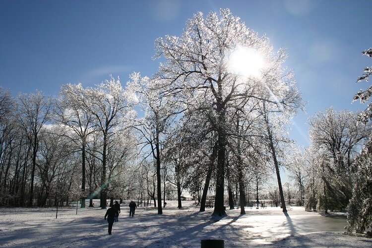 Winter wonderland in Sterling Heights.