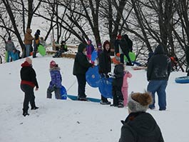 sledpic
