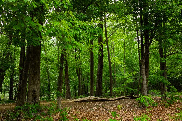 Deep in the trails at Stony Creek.