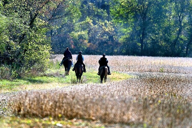 Equestrians on the trail at Wolcott Mills Metropark.