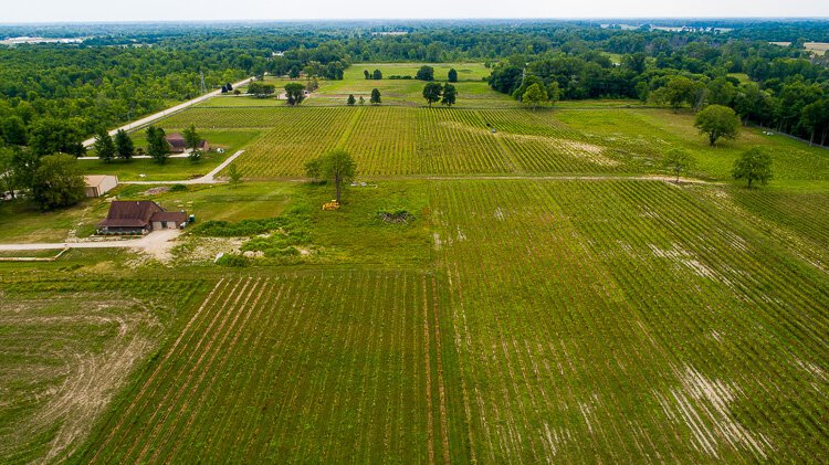  Youngblood Farms. Photo by David Lewinski.