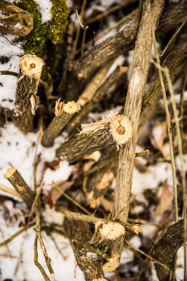 detroit-wildlife-refuge-009