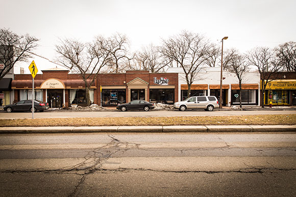 North Livernois Corridor 2
