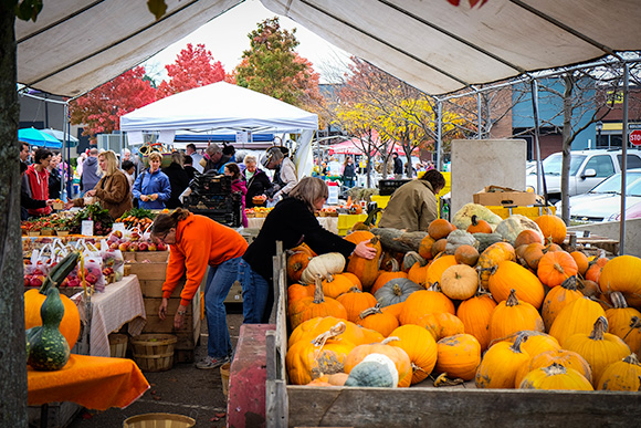 Picking Pumpkins at the Farmington Pavilion