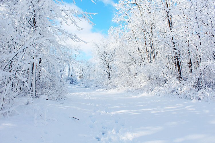 Want to Get Outside All Winter? Bring Your Thermos.