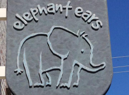Elephant Ears