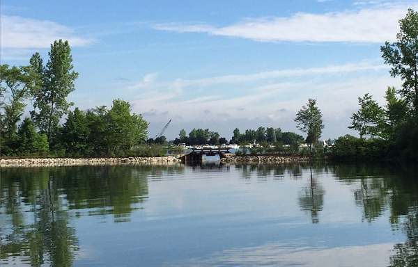 Bird Island at the Edsel and Eleanor Ford House