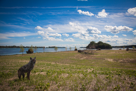 Humbug Marsh, Detroit International Wildlife Refuge