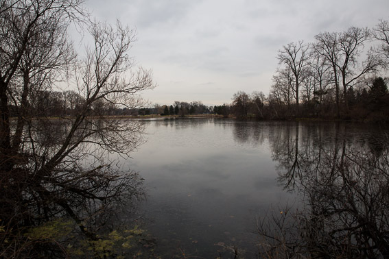 A lake in Oakland County