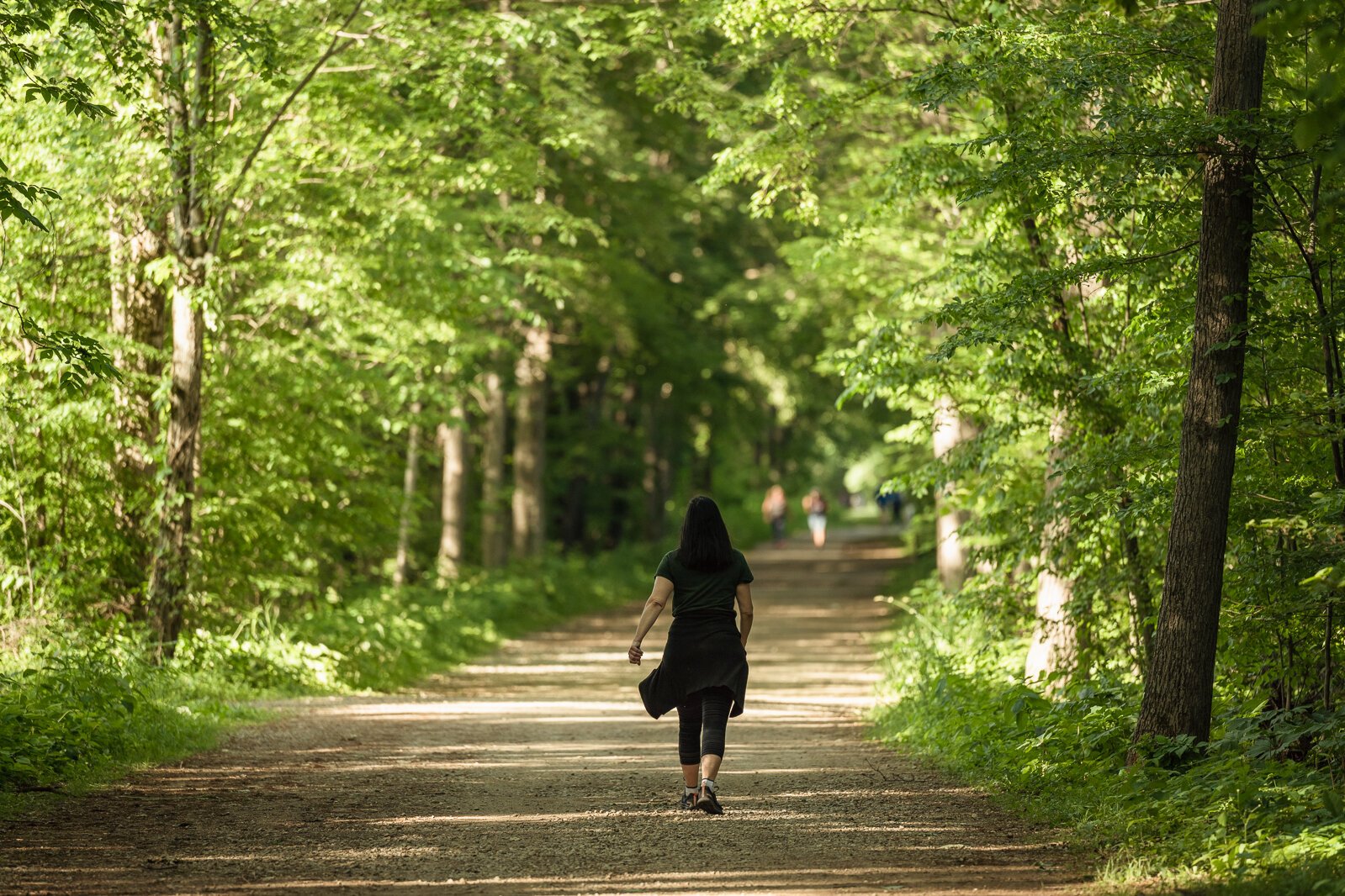 A hiker at Independence Oaks in Clarkston.