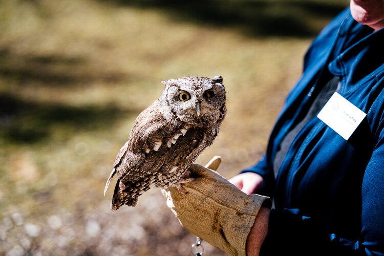 Owl Reserve at Stage Nature Center with Christina Funk