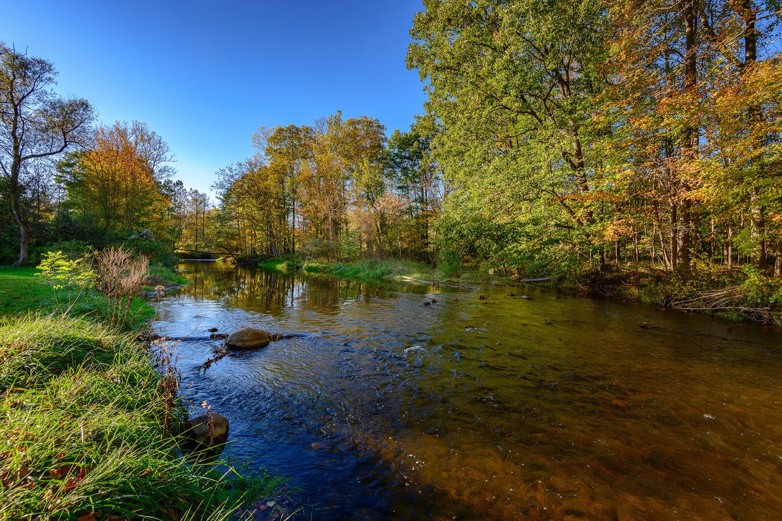 The North Branch of the Clinton River at Wolcott Mill Metropark.