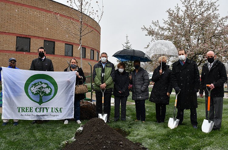 Department of Public Works Director Michael Moore joined Mayor Taylor and city council members this week in planting an Autumn Blaze Maple tree adjacent to the city's library in celebration of Arbor Day.