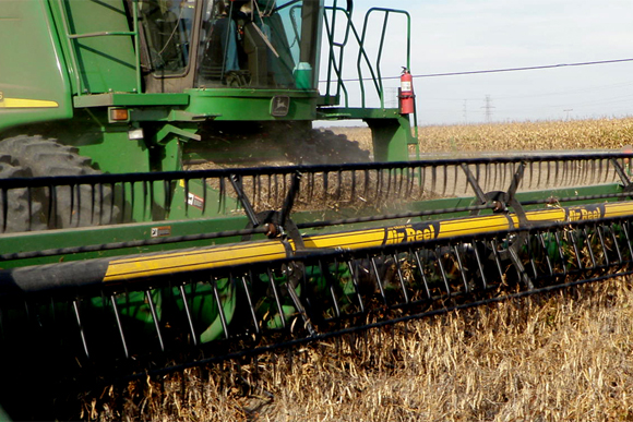 A processor harvests beans in Michigan. 