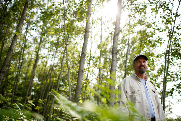 Bill Sterrett stands in a portion of maintained state forest land. It was clear cut about 35 years ago and has grown back.