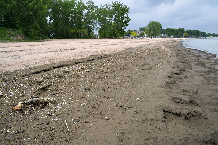 Muck on the beach at Saginaw Bay State Recreation Area