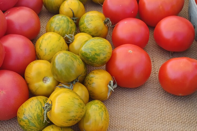 Midland Farmer's Market