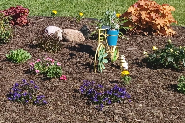 Midland Blooms 2024