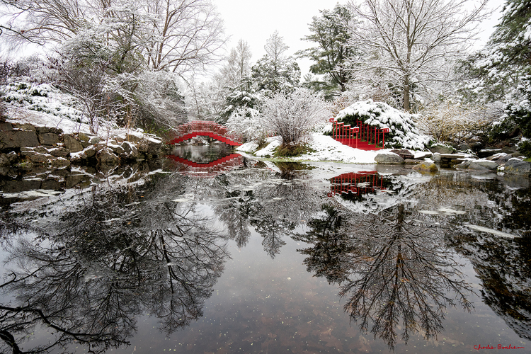 A shot of Dow Gardens by Charles Bonham,