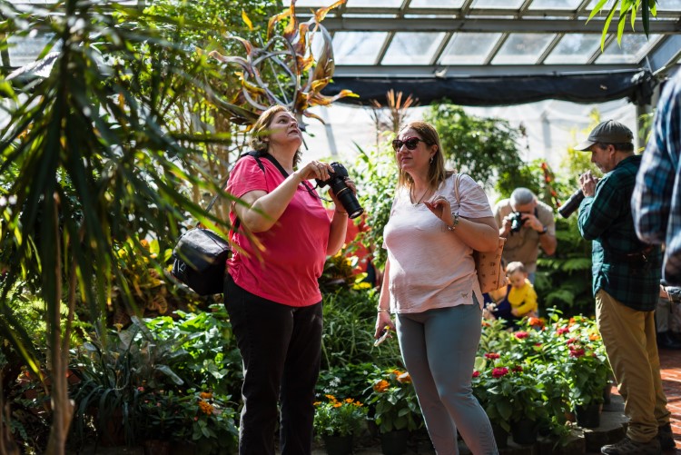 Bring On The Butterflies Behind The Scenes At Dow Gardens